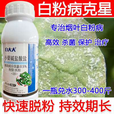 烟叶白粉病专用药烟叶白粉病杀菌剂专治白粉病白粉一喷净不伤花果
