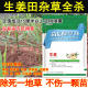 生姜苗后除草剂生姜专用除草剂安全不伤生姜禾阔双除死草烂根农用