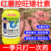 红薯矮壮素红薯控旺药红薯专用控旺矮化剂叶面肥控旺剂提高产量