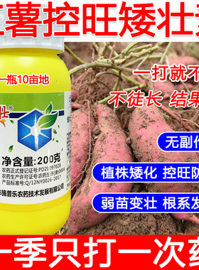 红薯矮壮素红薯控旺药红薯专用控旺矮化剂叶面肥控旺剂提高产量