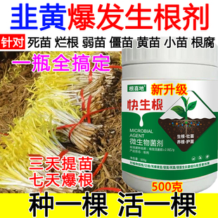 韭黄生根粉韭黄生根肥料生根液蔬菜果树生根壮苗剂死苗烂根防死棵