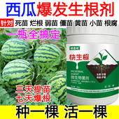 西瓜生根粉西瓜生根肥料生根液蔬菜果树生根壮苗剂死苗烂根防死棵