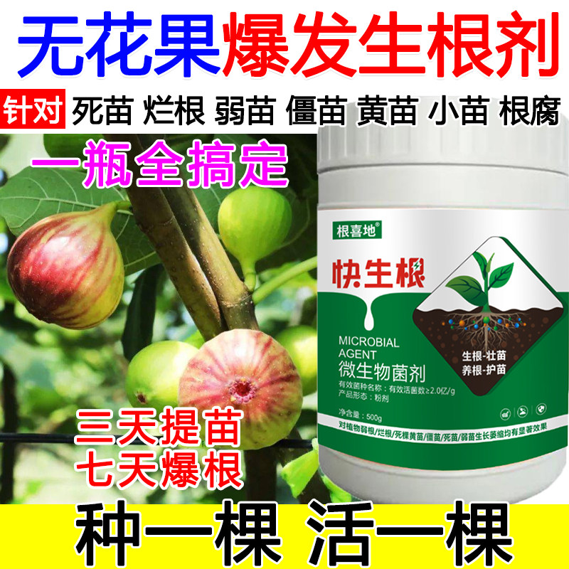 无花果生根粉无花果生根肥料生根液蔬菜果树生根壮苗剂死苗烂根
