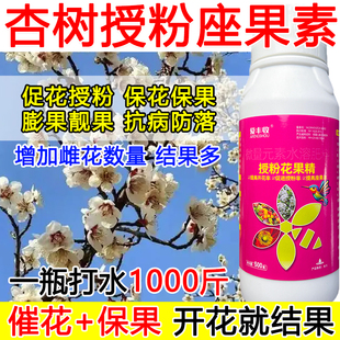 杏树授粉座果精杏树授粉药沾花素保花保果强制座果肥料防落果正品