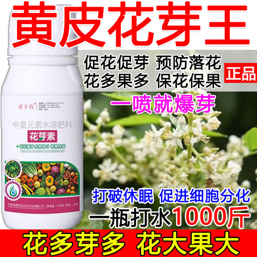 黄皮促花催芽黄皮花芽促长素催花保果叶面肥保花保果催花强制座果