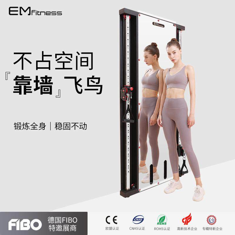 多功能靠墙飞鸟室内镜面墙体飞鸟健身架家用单边贴墙小飞鸟龙门架,运动/瑜伽/健身/球迷用品,更多中小型健身器材,淘宝优惠券,粉丝福利购,淘宝优惠卷