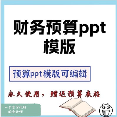 财务预算ppt模版公司预算演示ppt预算报告模版可编辑永久使用