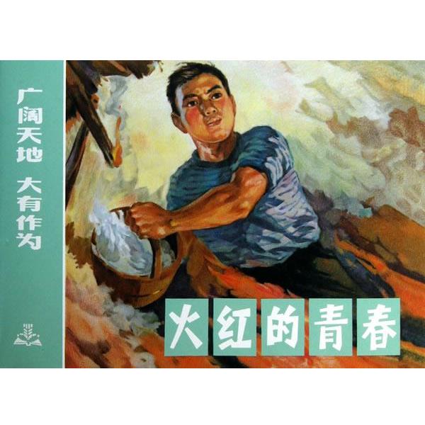 正版包邮火红的青春广阔天地 大有作为王健尔,罗步臻　绘画上海人