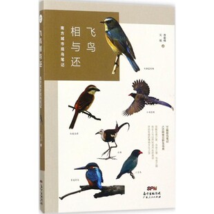 正版包邮飞鸟相与还:南方城市观鸟笔记曾毅锋,吴娟 著广东人民出版社9787218119076