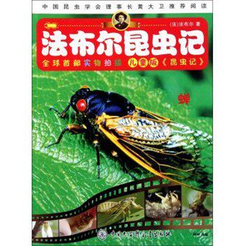 正版包邮法布尔昆虫记 蝉杨坤中国大百科全书出版社9787500086956