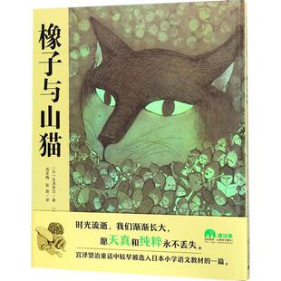 包邮 高野玲子绘译者：周龙梅彭懿广西师范大学出版 魔法象·图画书王国 日 社9787559808615 橡子与山猫：日宫泽贤治著 正版