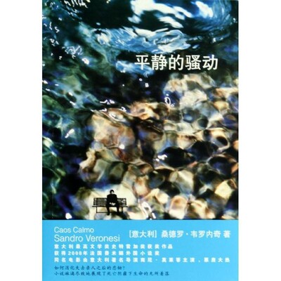 正版包邮平静的骚动[意大利] 桑德罗·韦罗内奇,马小谟山东文艺出版社9787532942732
