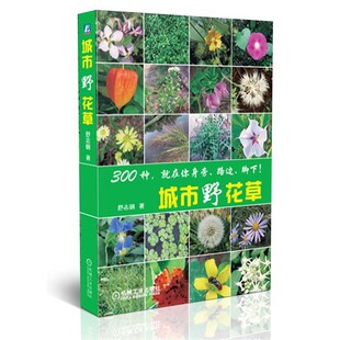 正版包邮城市野花草舒志刚　著机械工业出版社9787111418375