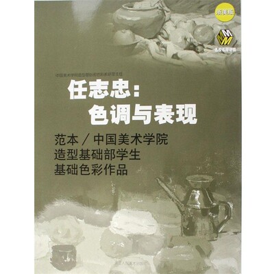 正版包邮色调与表现任志忠浙江人民美术出版社9787534022555