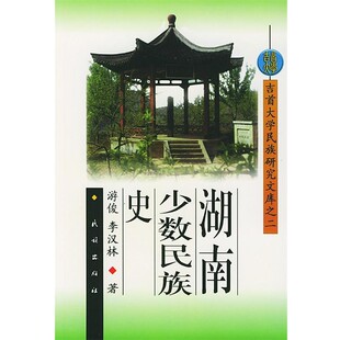 正版包邮湖南少数民族史游俊,李汉林 著民族出版社9787105045013