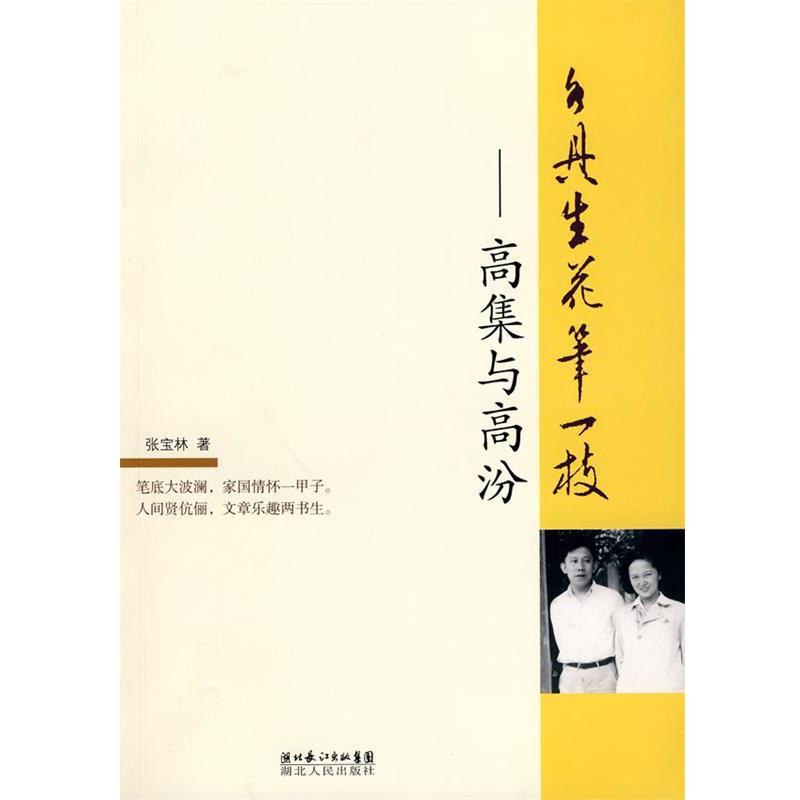 正版包邮各具生花笔一支 :高集与高汾张宝林　著湖北人民出版社9787216063067