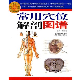 正版包邮常用穴位解剖图谱邰浩清 主编江苏科学技术出版社9787534572395