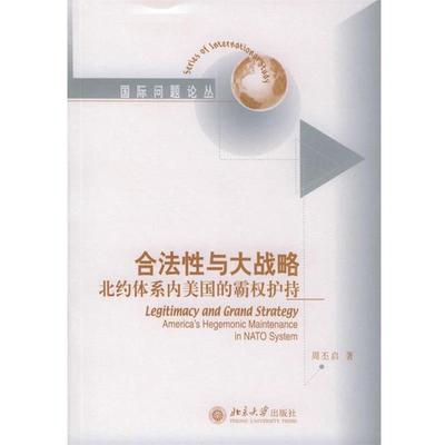 正版包邮国际问题论丛-合法性与大战略:北约体系内美国的霸权护持周丕启 著北京大学出版社9787301090770