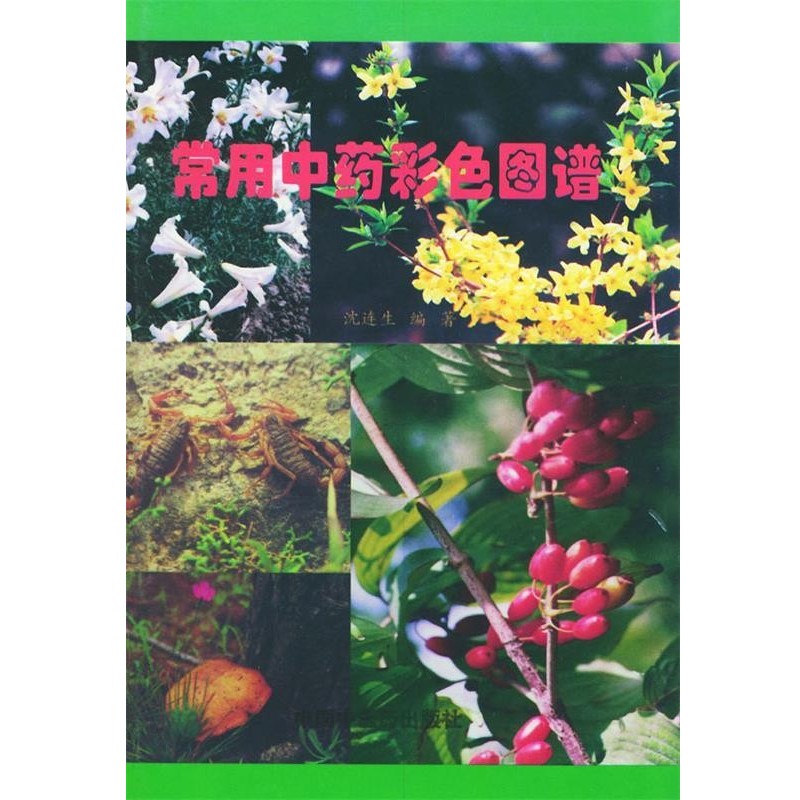 正版包邮常用中药彩色图谱沈连生 编著中国中医药出版社9787800894480