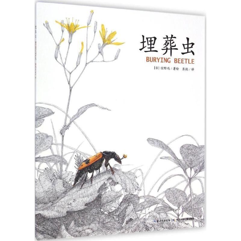 正版包邮埋葬虫(日)馆野鸿 著绘,彭懿 译长江少年儿童出版社有限公司9787556016198