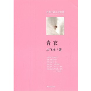 正版包邮青衣毕飞宇　著浙江文艺出版社9787533931810