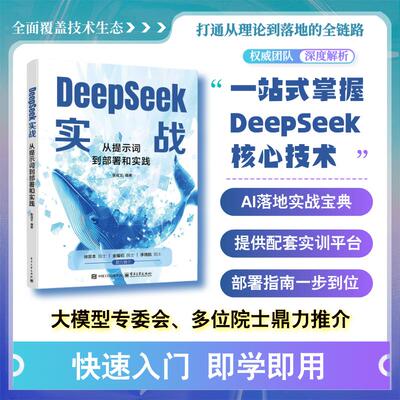官方正版 DeepSeek实战 从提示词到部署和实践 MoE架构与多Token预测 Web UI对话界面搭建 RAG系统构建 大模型应用书籍