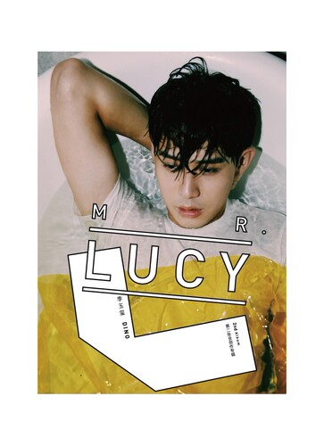 官方正版 李玉玺专辑 Mr Lucy 玩具熊 未命名 想 满天星 CD唱片