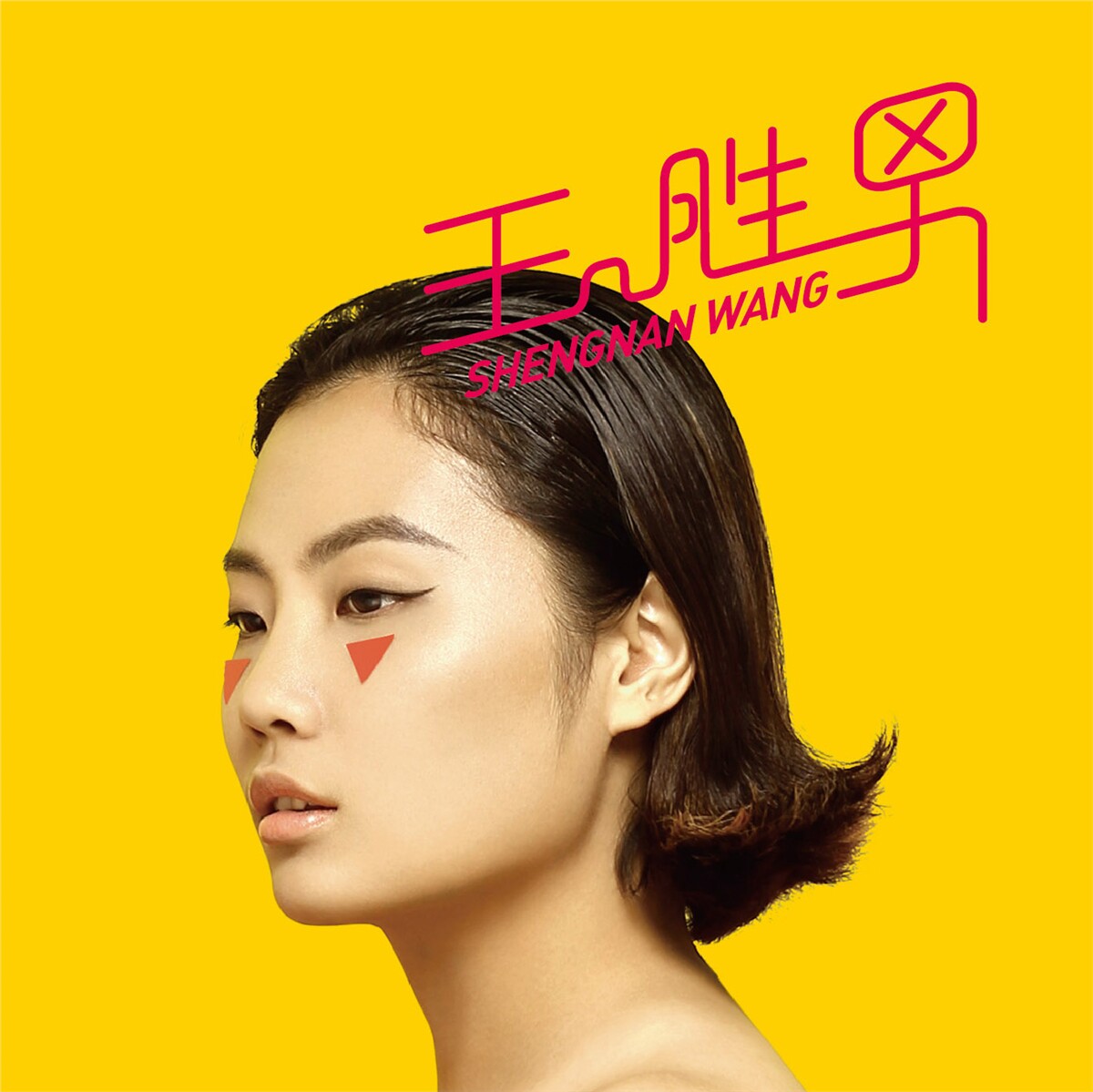 官方正版 王胜男 同名专辑 还有还有 不能失去你 瘸腿的猫 cd唱片