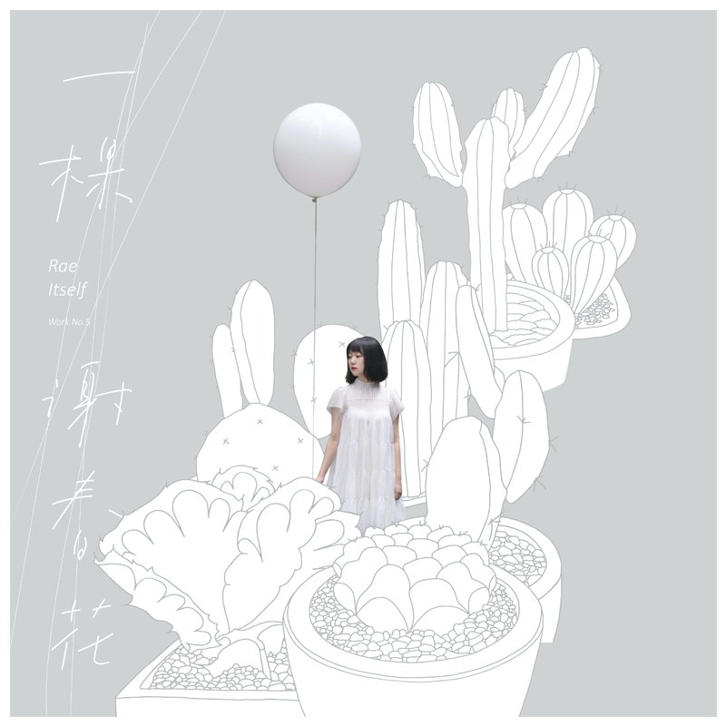 正版唱片 谢春花 一棵 cd 小册子 附赠种子纸书签 车载专辑