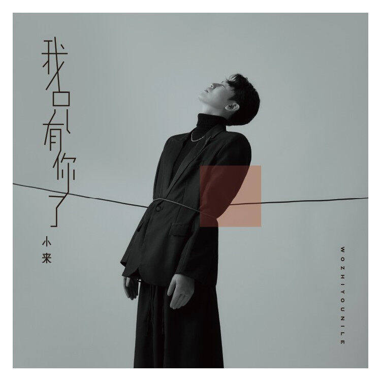 正版唱片 小来专辑 我只有你了 华语流行车载cd碟片 咕噜文化