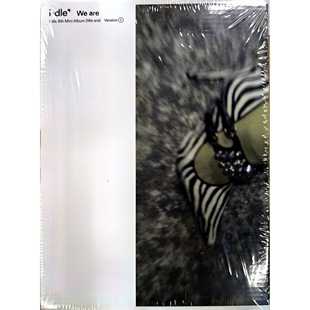 DLE第八张迷你专辑 带海报CD 进口 周边 首版 特别版 韩版 Are