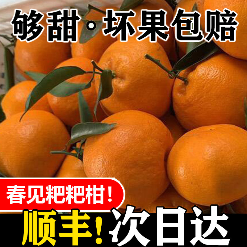 四川春见耙耙柑10斤新鲜水果整箱当季年货丑八怪粑粑桔不橘子知火