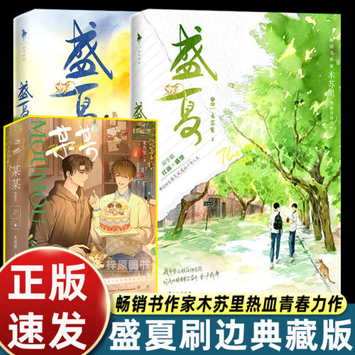 搜书某某正版小说全2册 盛夏序章典藏刷边版 木苏里实体书 附赠精美好礼 现代言情小说力作龛世 江添盛望晋江高分青春文学双男主