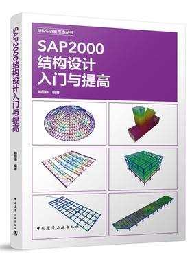 SAP2000结构设计入门与提高 结构设计新形态丛书  杨韶伟 主编