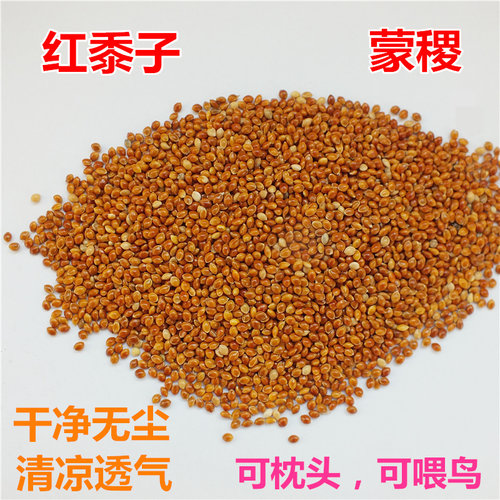 儿童黍子清凉透气流动性好不易碎