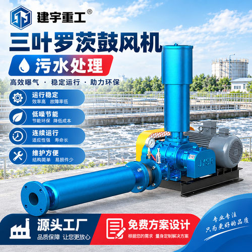 建宇重工罗茨风机厂家直销