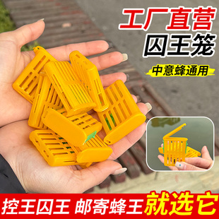 多功能介王笼防逃器塑料囚王笼养蜂工具中蜂意蜂专用储王器隔王