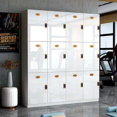 沉一健身房实木颗板高光更衣柜