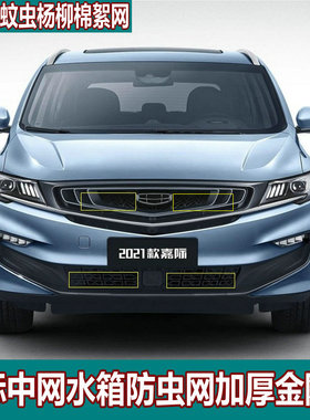 适用于21款星瑞嘉际缤瑞水箱防虫网汽车防杨棉蚊虫罩中网改装专用