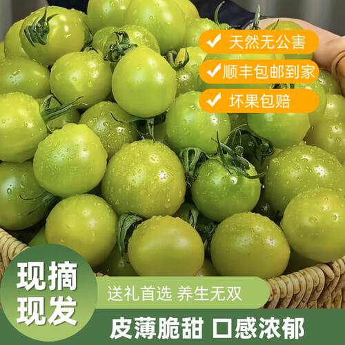 寿光青甜2号小番茄梦想小柿子