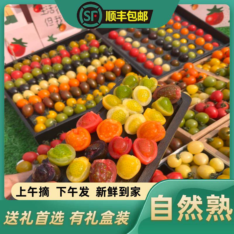 山东寿光七彩小番茄顺丰包邮多彩其它