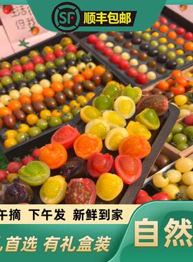 山东寿光七彩小番茄顺丰包邮多彩圣女果混装新鲜小柿子彩色小番茄