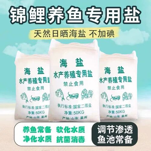 锦鲤用海盐改善水质渔塘用日晒盐