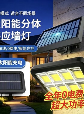 清贝特分体太阳能感应防水路灯