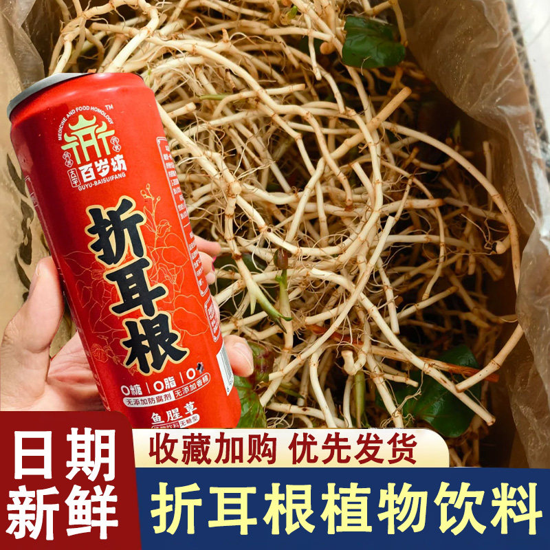 古宇百岁坊折耳根鱼腥草植物饮料无蔗糖解暑罐装凉茶怪味饮料整箱