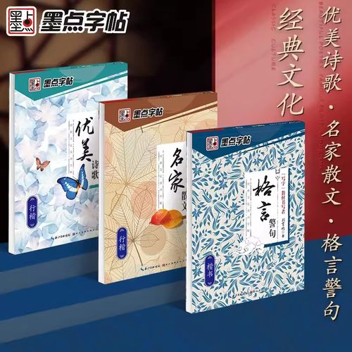 荆霄鹏行楷钢笔练字帖墨点