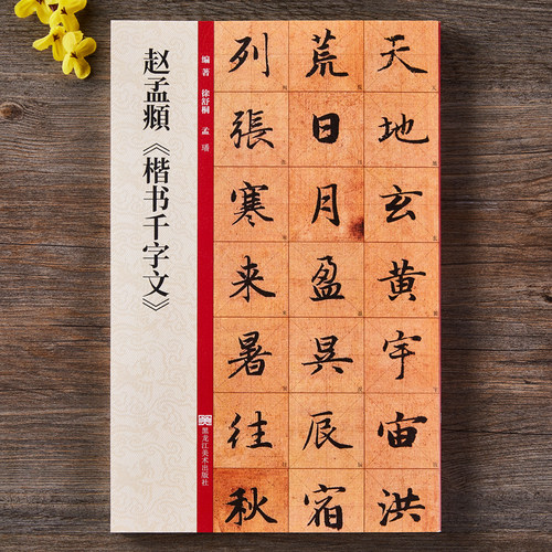 赵孟頫楷书千字文放大版 赵孟俯赵体楷书毛笔书法字帖墨迹本附带教程技法解析 黑龙江美术出版社