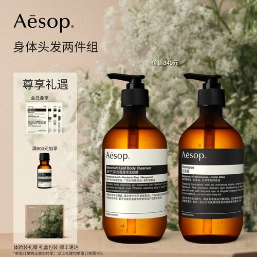 Aesop伊索身体头发两件组