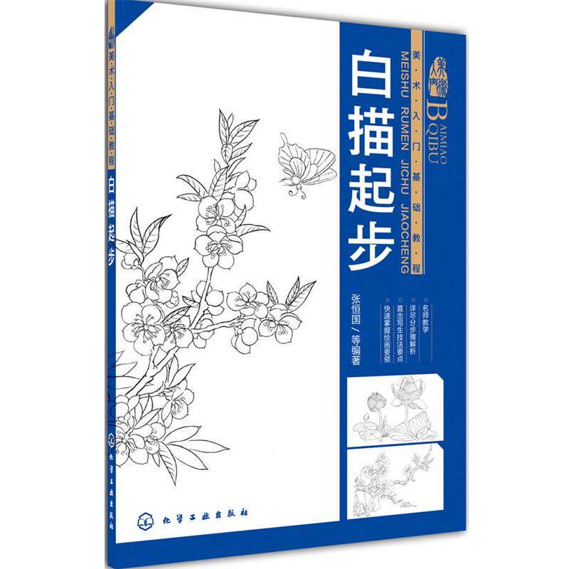 【正版书籍】 美术入门基础教程--白描起步 张恒国等编著 化学工业出版社