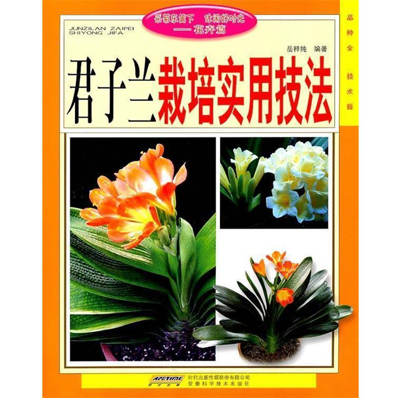 【正版书籍】 君子兰栽培实用技法 岳粹纯 编著 安徽科学技术出版社